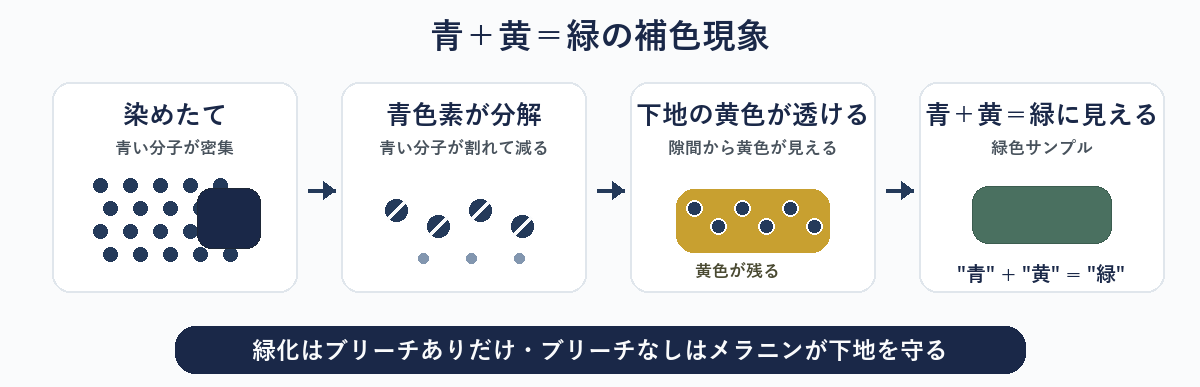 blueblack testのブリーチ回数別 色持ち比較