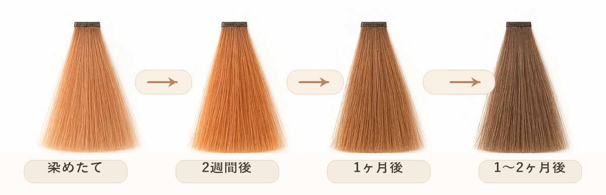オレンジベージュの色落ちタイムライン