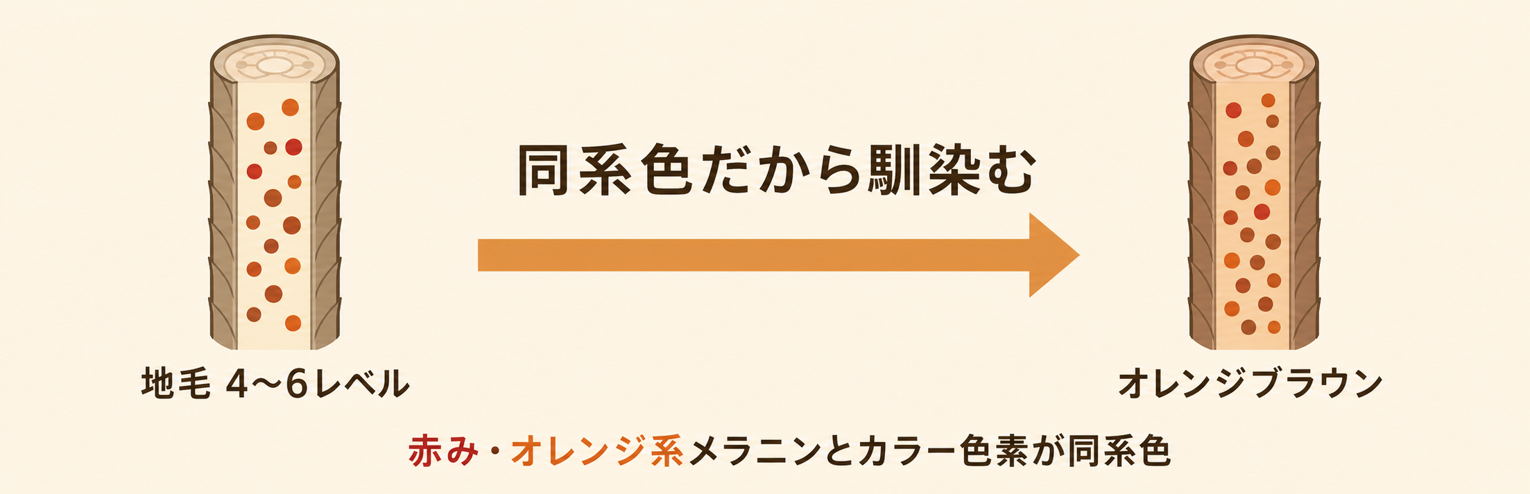 orange brown bleachlessのブリーチ回数別 色持ち比較