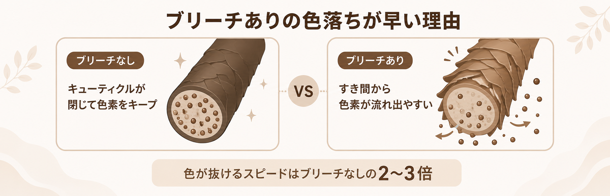 ブリーチありのダークブラウンの色落ちが早い理由|キューティクルのすき間から色素が流れ出る比較図解