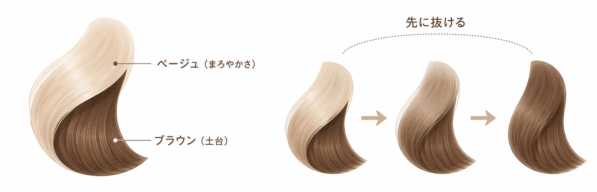 ミルクティーブラウンの色落ちの仕組み｜ブラウンの土台にベージュのやわらかさが重なる2層の図解