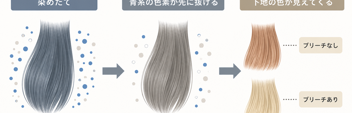 アッシュグレーの色落ちの仕組み|青系の色素が先に抜けてベースの色が見えてくる図解