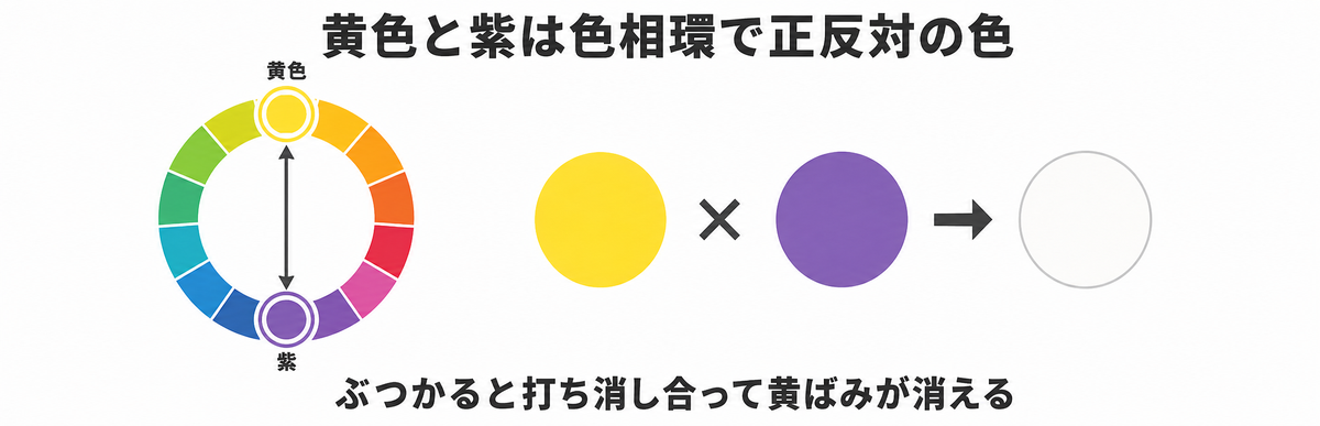 色相環で黄色と紫は正反対の色（ぶつかると打ち消し合って黄ばみが消える）の図解