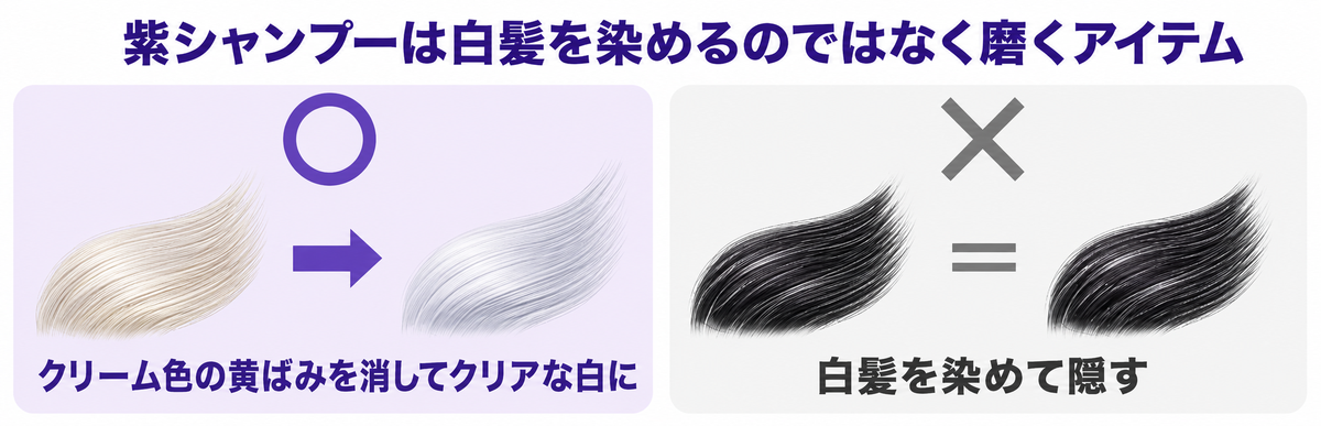 紫シャンプーが白髪にできること・できないことの図解（クリーム色の黄ばみを消してクリアな白に見せられるが、染めて隠すことはできない）