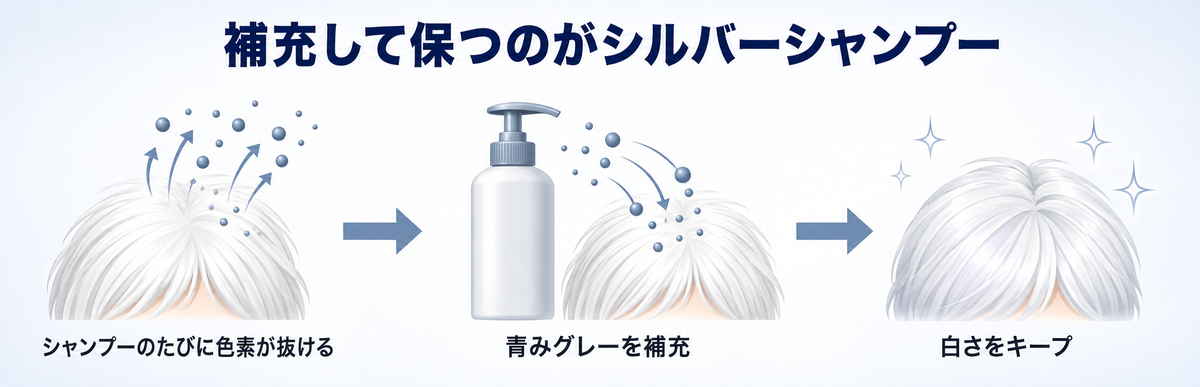 シルバーシャンプーが青みグレーの色素を補充して白さを保つ仕組みの図解