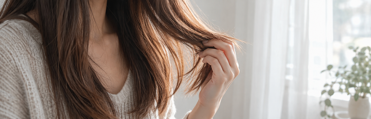 窓際の自然光で色落ちして明るいブラウンになった毛先を指でつまんで見ている女性