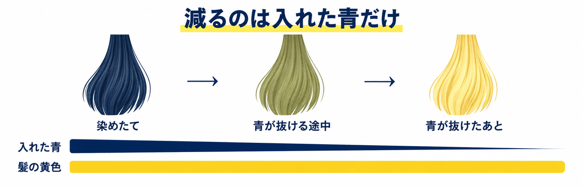 ブリーチした髪のネイビーは青が抜ける途中で髪の黄色と混ざって緑っぽく見えることを示した図解