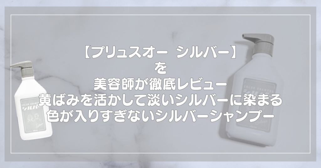 プリュスオー カラーシャンプー シルバーのボトル2本と記事タイトル