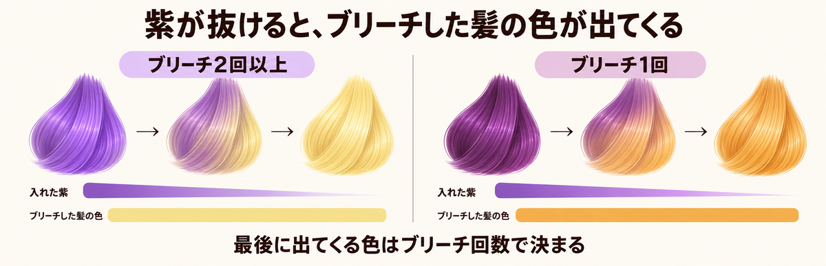 紫が抜けるとブリーチで明るくしたベースの色が出てくることを示した図解｜ブリーチ2回以上は黄色が強い金髪、ブリーチ1回はオレンジイエロー〜黄色