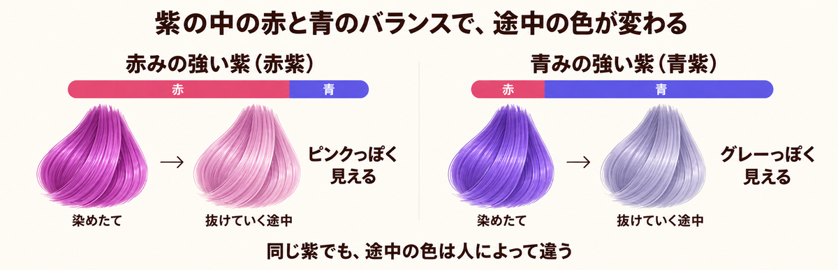 紫の中の赤と青のバランスで抜けていく途中の色が変わることを示した図解｜赤みの強い紫はピンクっぽく、青みの強い紫はグレーっぽく見える