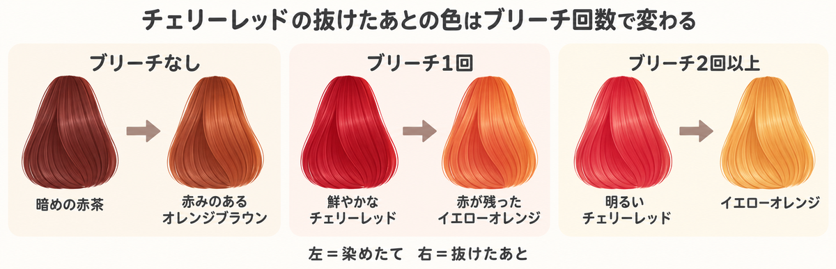 チェリーレッドの抜けたあとの色をブリーチ回数別に示した図解｜ブリーチなしは赤みのあるオレンジブラウン、ブリーチありは赤が残ったイエローオレンジ