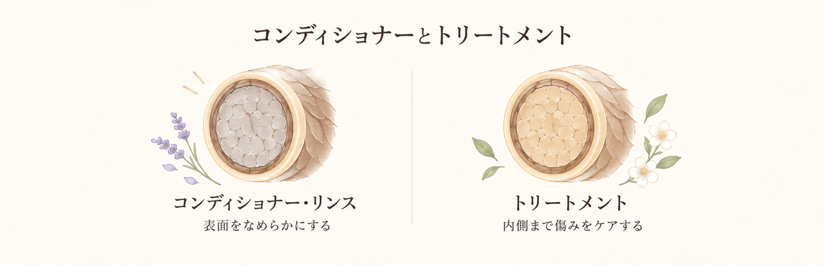 コンディショナーとトリートメントの図解｜コンディショナーは表面をなめらかにしてトリートメントは内側まで傷みをケアする