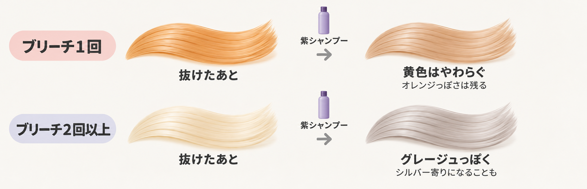紫シャンプーを使った時の変わり方の図解｜ブリーチ1回はオレンジっぽさが残り、2回以上はグレージュっぽくなる