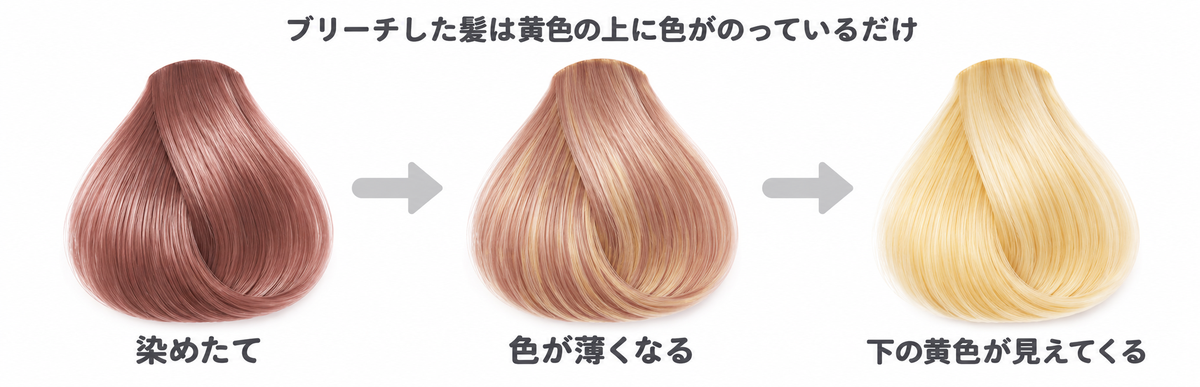 ブリーチした髪の色が抜けていく図解|染めたて・色が薄くなる・下の黄色が見えてくるの3段階