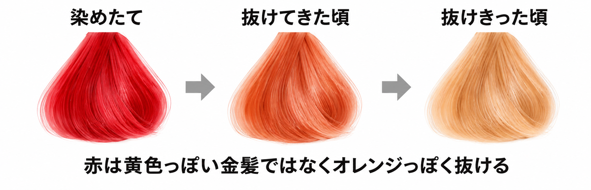 赤を入れたブリーチした髪の抜け方の図解|染めたての赤から抜けてきた頃はオレンジっぽくなり抜けきってもオレンジっぽさの残る金髪