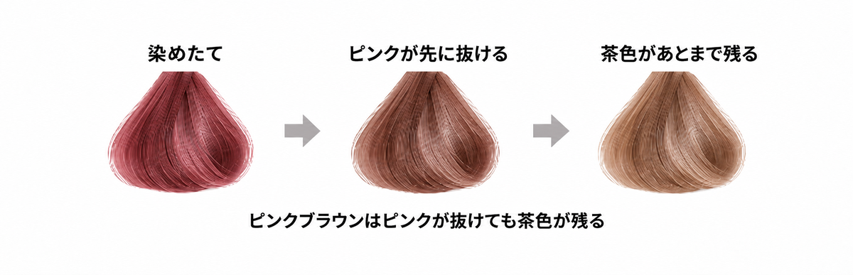 ピンクブラウンの抜け方の図解|ピンクが先に抜けて茶色があとまで残る