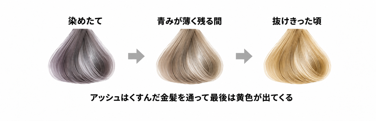 アッシュの抜け方の図解|青みが薄く残る間はくすんだ金髪で抜けきると黄色っぽい金髪